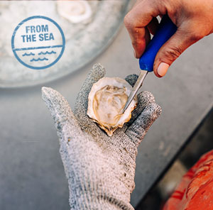 Oyster shucker cracking open a freshly caught oyster 
