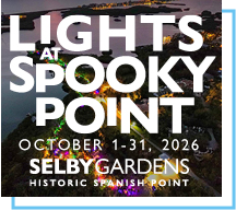 lights at spooky point